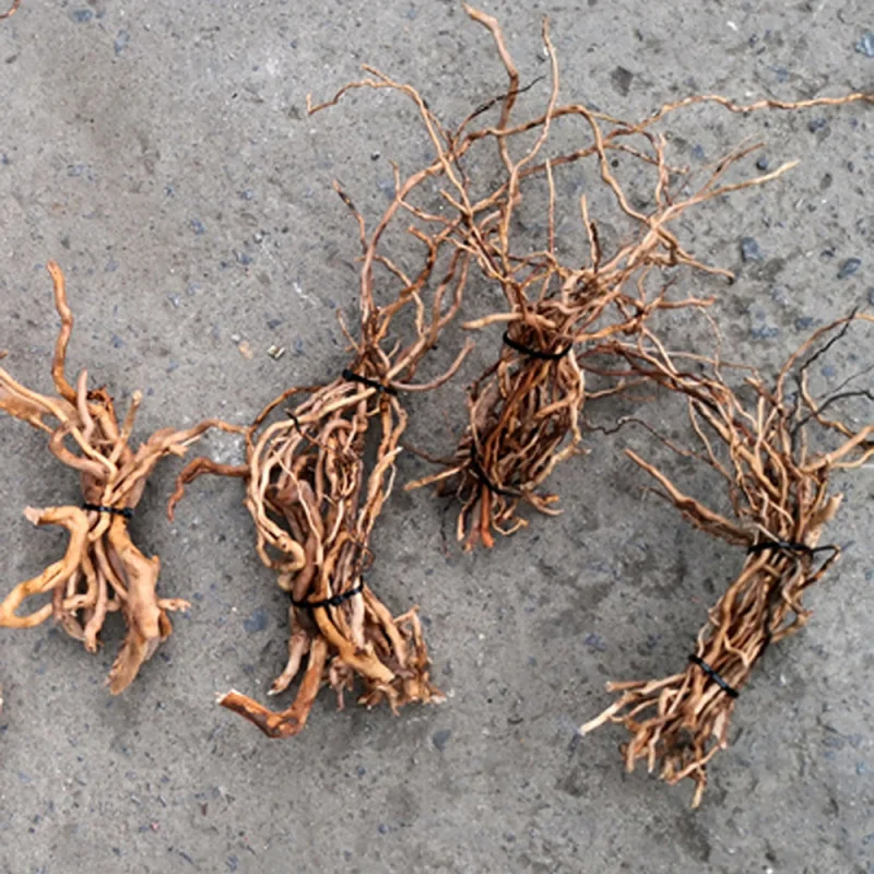 Aquarium Driftwood - Натуральный корень/ствол из коряги для аквариума,