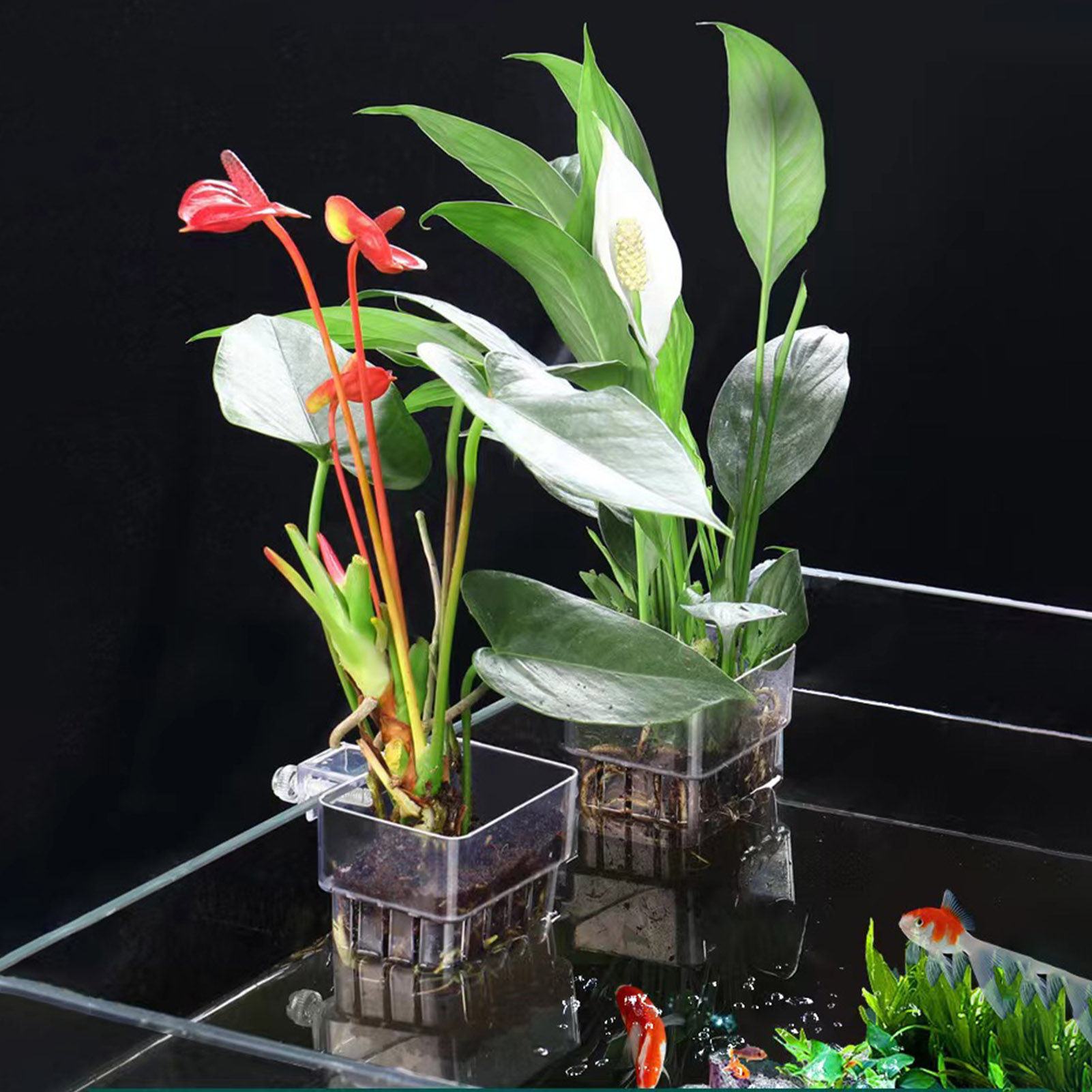 Aquarium Plant Holder - Прозрачная акриловая подставка для растений, корзина