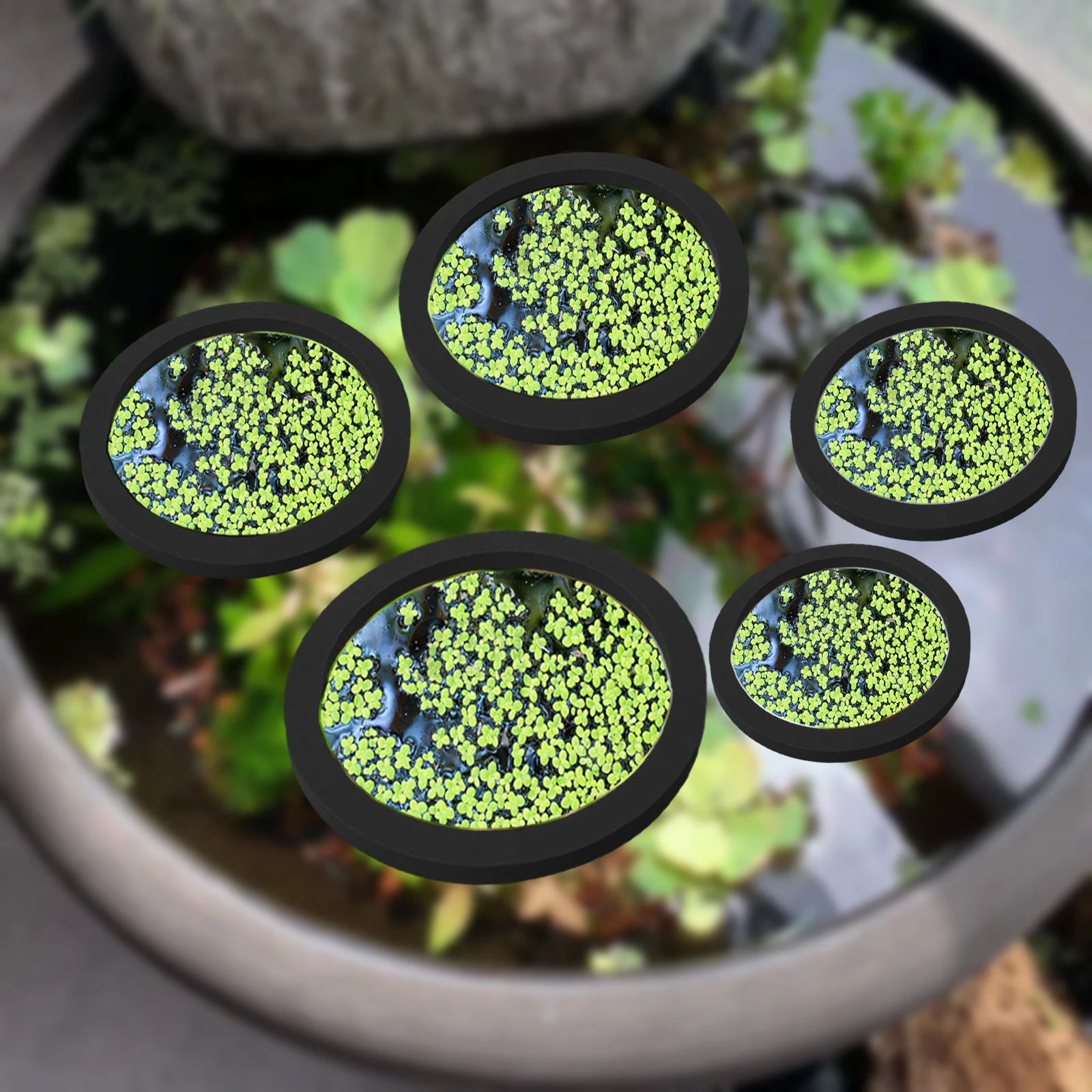 Planted Tank - 5 шт., кольцо для кормления рыб