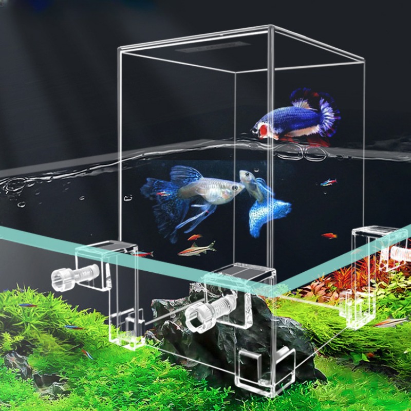 Plant Aquarium Pot - Творческие аквариумные резервуары с отрицательным давлением,