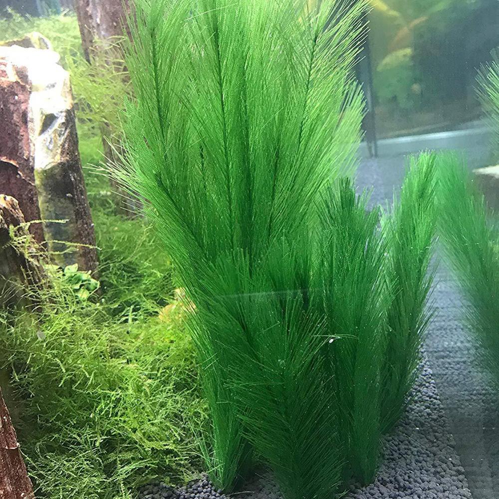 1/3 шт. 28/40 см аквариум иску – обзор и цена Aquarium Plants Live