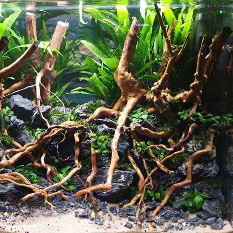 Натуральный корень/ствол из ко – обзор и цена Aquarium Driftwood