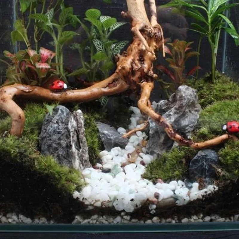 Натуральный ствол дерева Drift – обзор и цена Aquarium Plant Substrate