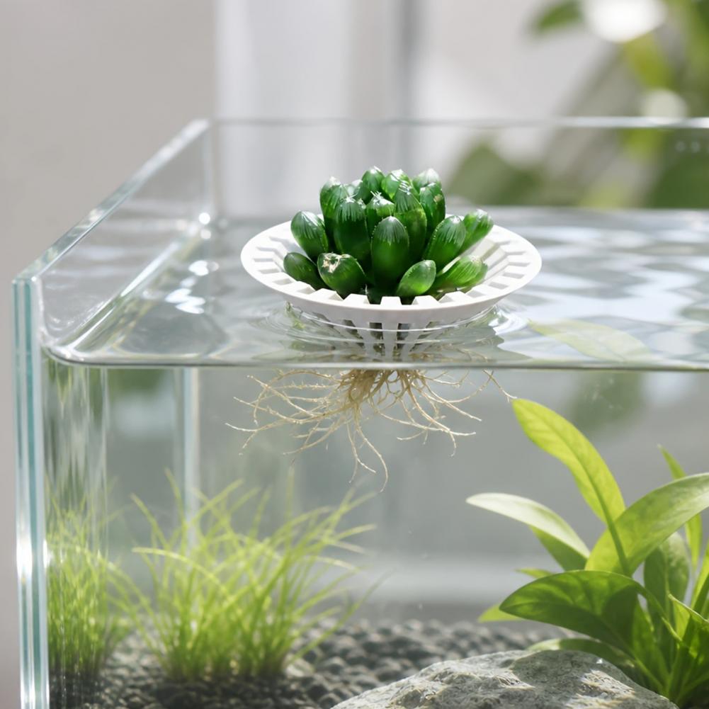 Аквариумный гидропонный держат – обзор и цена Aquarium Plant Holder