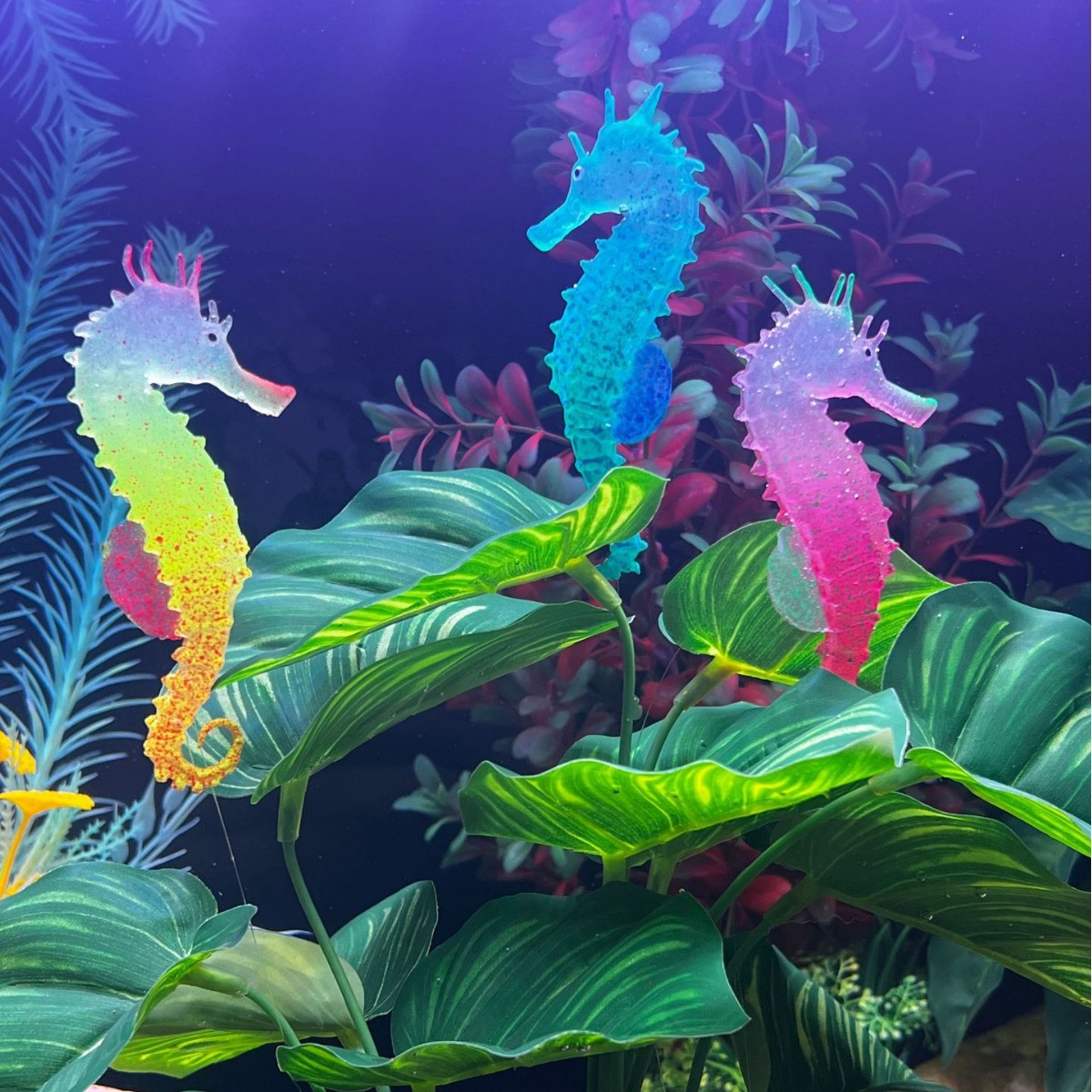 Имитация светящегося морского  – обзор и цена Aquarium Plant Substrate