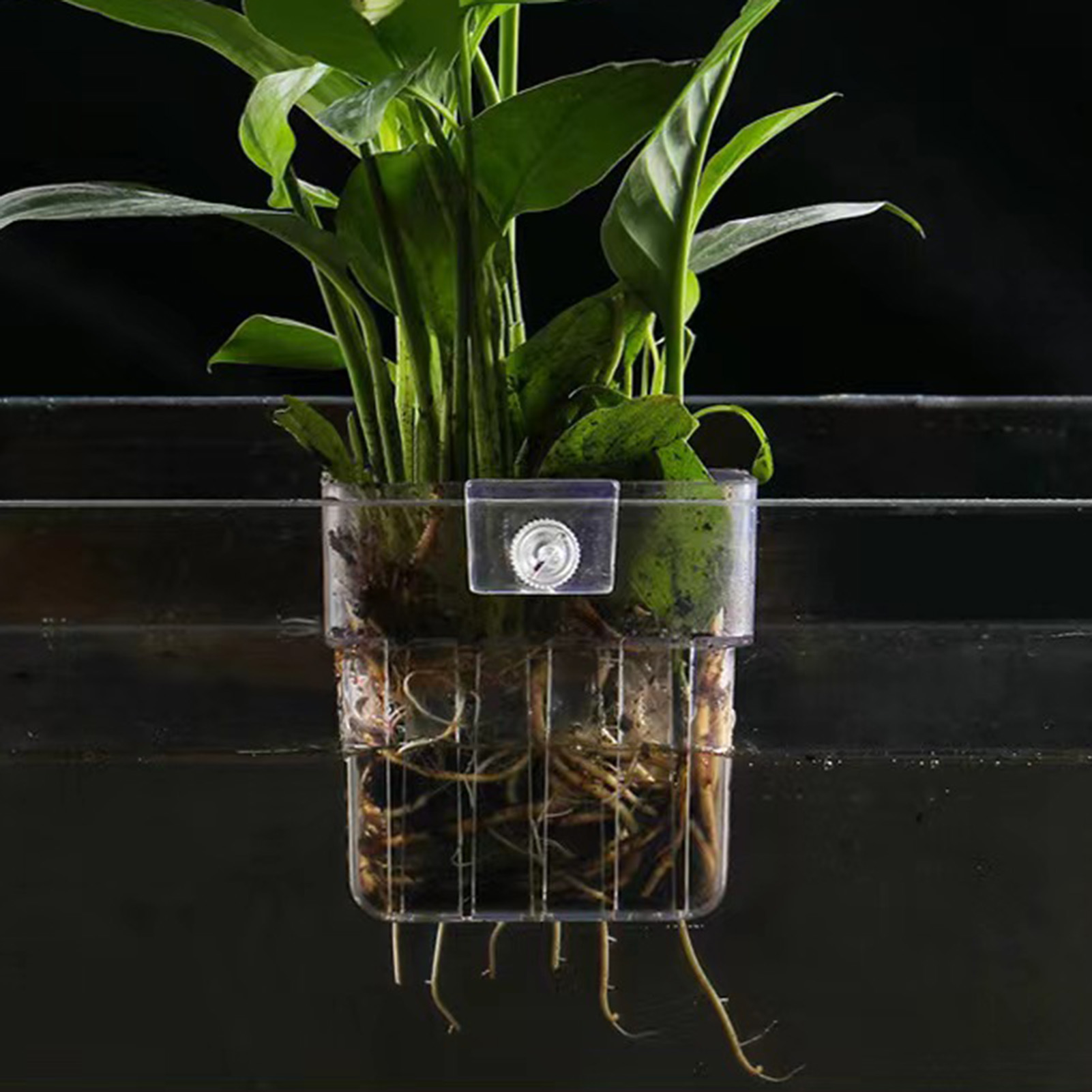 Прозрачная акриловая подставка – обзор и цена Aquarium Plant Holder