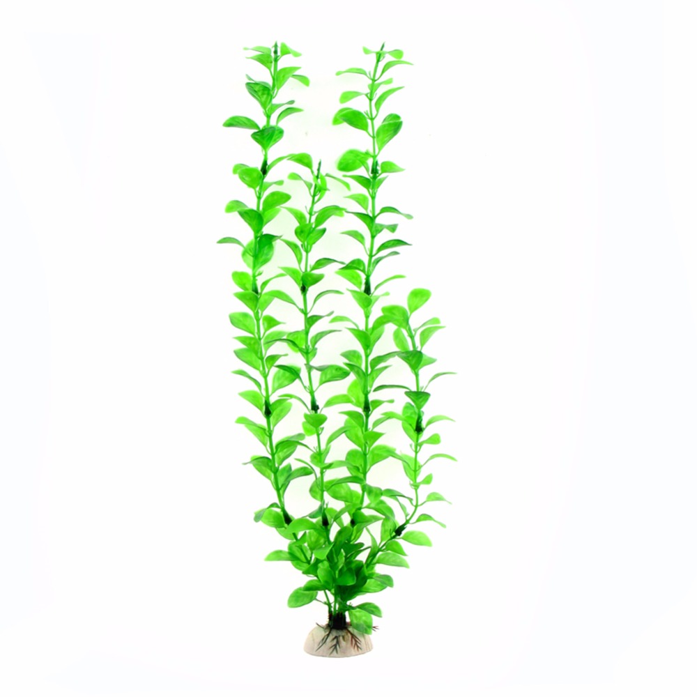Орнамент, аксессуары для аквар – обзор и цена Live Plant Aquarium