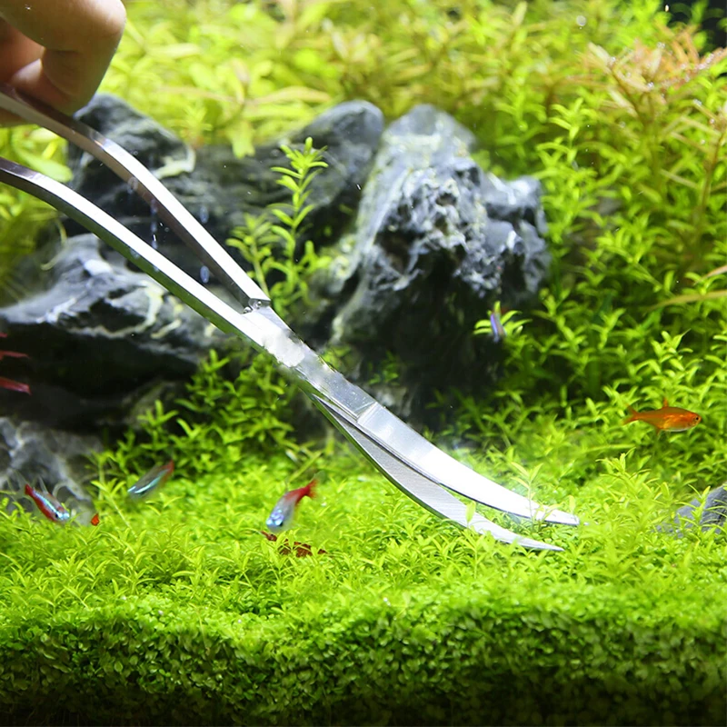 Аквариумные ножницы, инструмен – обзор и цена Aquarium Plant Holder