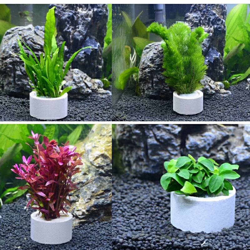 Керамическое кольцо для украше – обзор и цена Plant Aquarium Pot