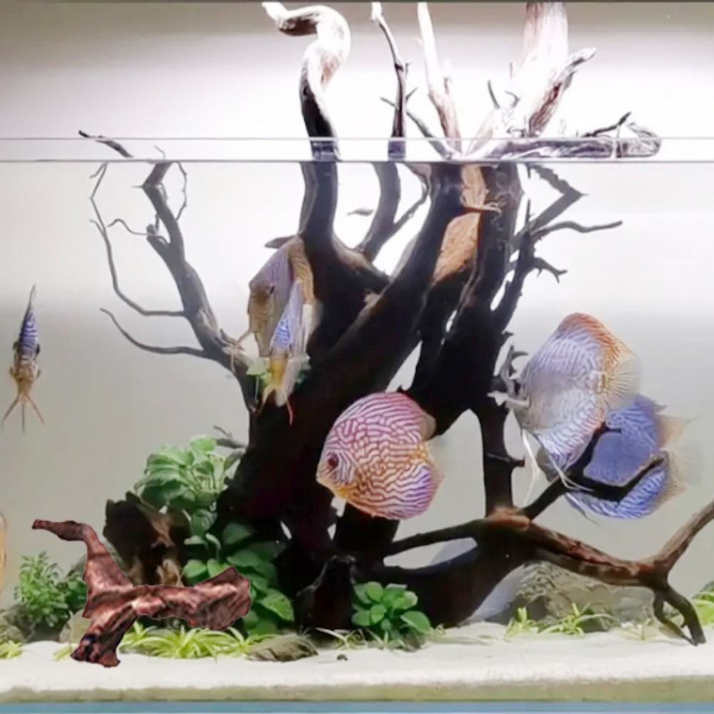 Креативные коряги из кораллово – обзор и цена Aquarium Plant Substrate