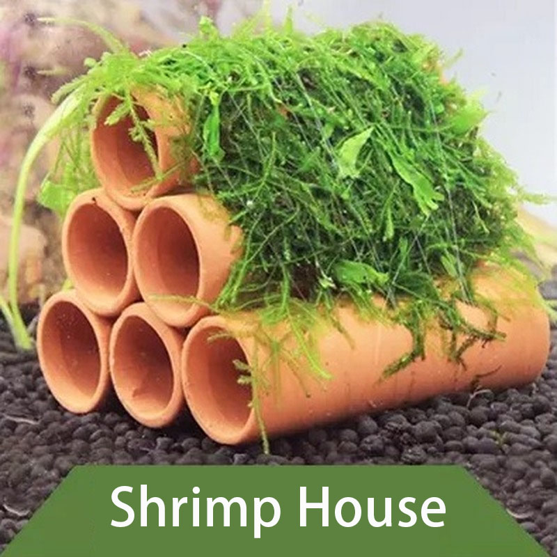 Глиняное украшение для аквариу – обзор и цена Aquarium Plants Live