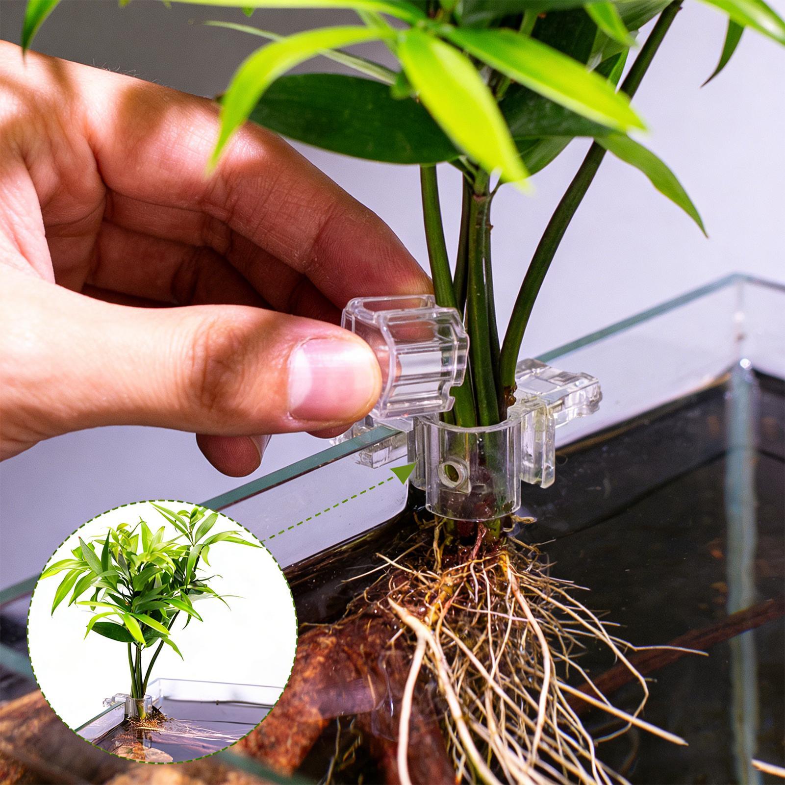 Набор из 6 прозрачных подставо – обзор и цена Aquarium Plants Live