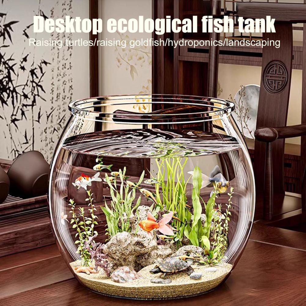 Прозрачная пластиковая круглая – обзор и цена Plant Aquarium Pot