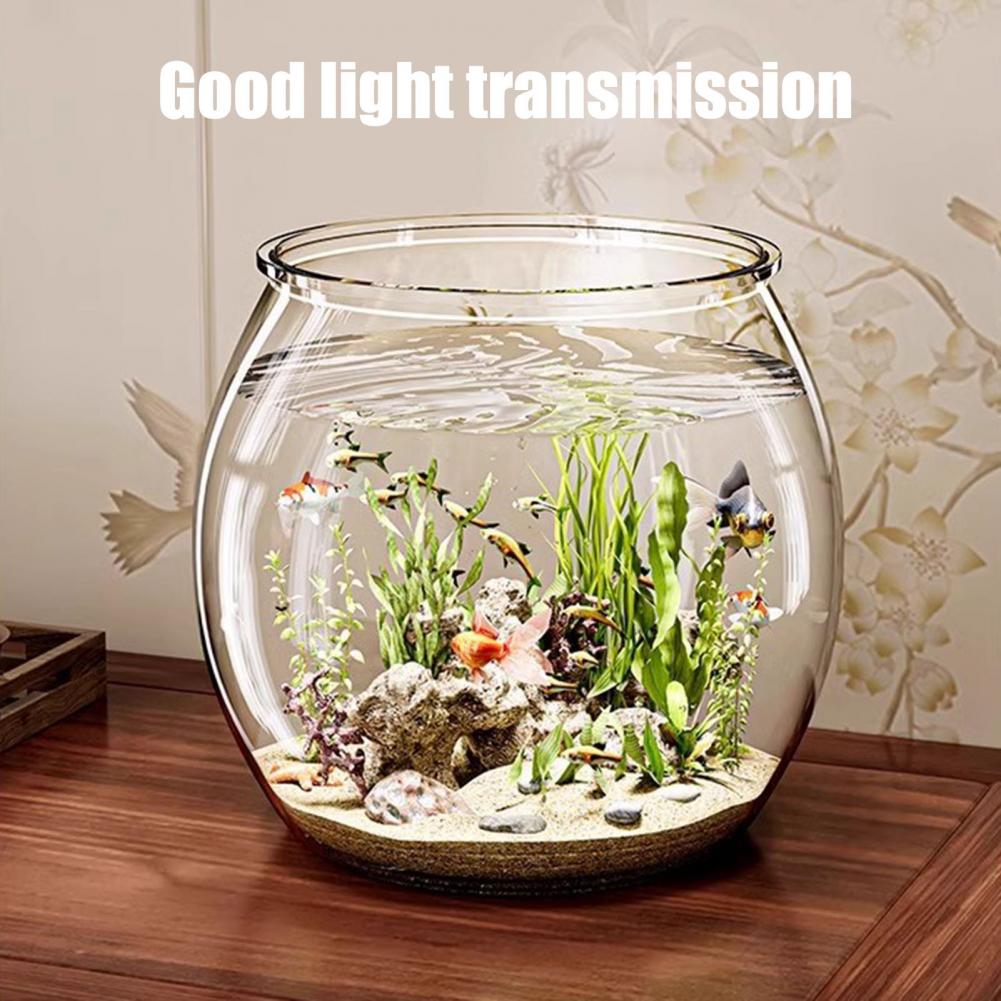 Прозрачная пластиковая круглая – обзор и цена Plant Aquarium Pot