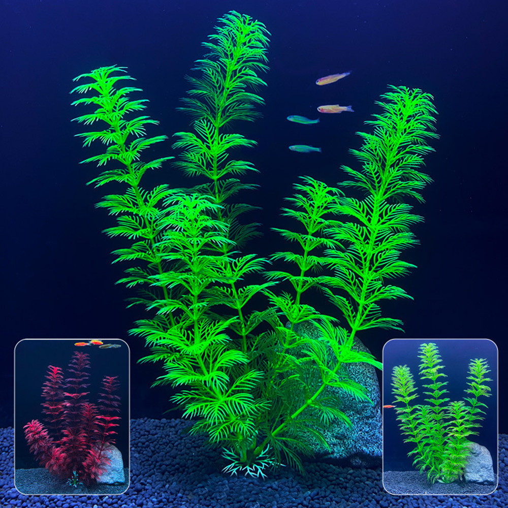 Искусственные аквариумные раст – обзор и цена Live Plant Aquarium