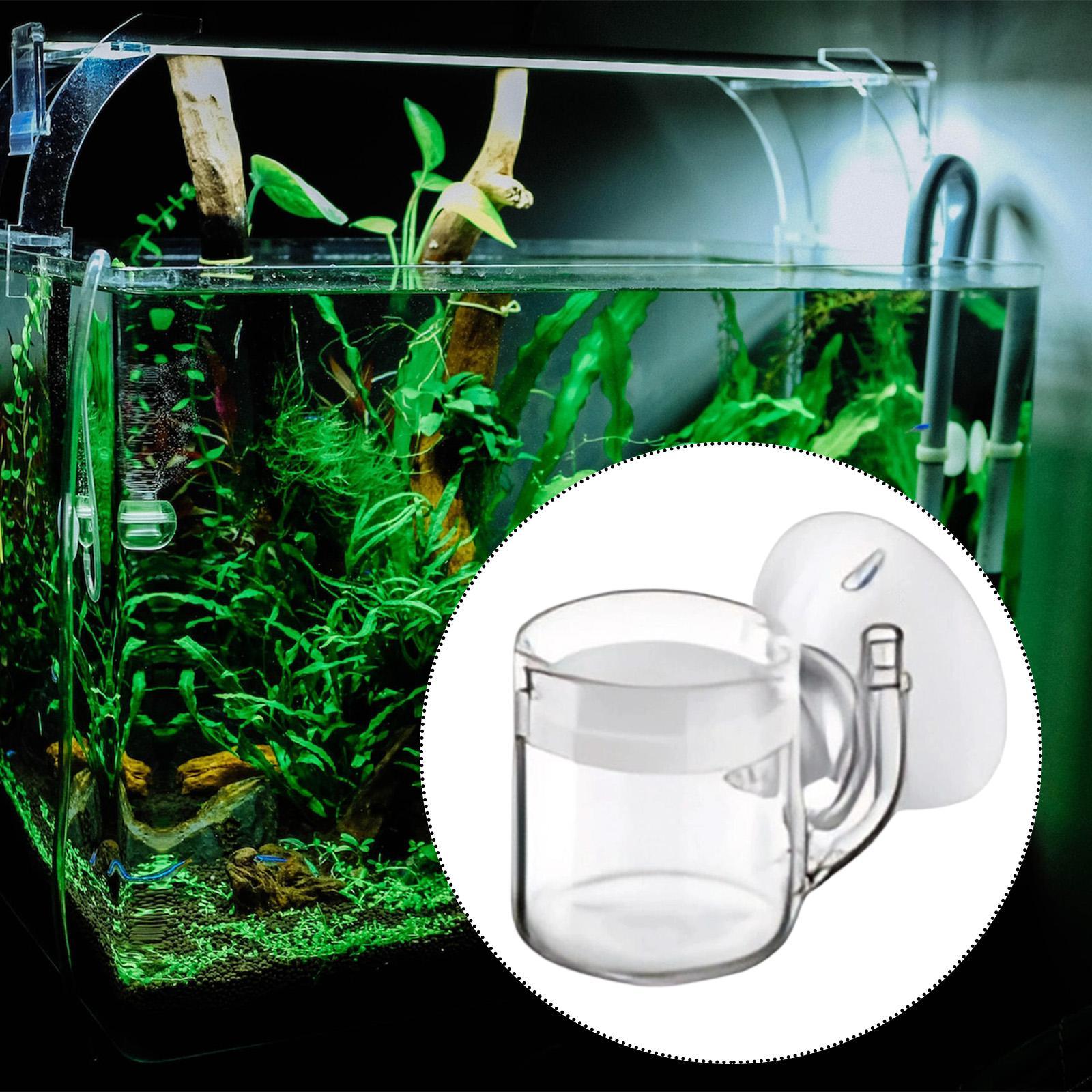 Диффузор CO2 с плоским дном, б – обзор и цена Planted Aquarium Cleaning