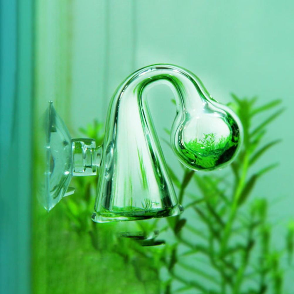 Аквариум CO2, диффузное стекло – обзор и цена Aquarium Liquid Carbon