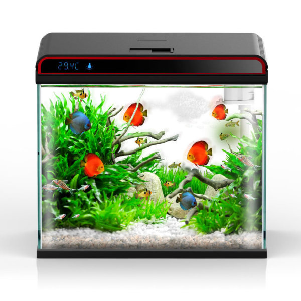 Кондиционер для аквариумной во – обзор и цена Planted Aquarium Algae Control